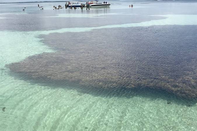piscinas naturais de moreré em Boipeba